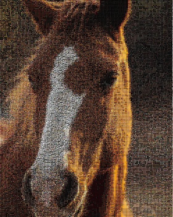 Rusty the horse, in adaptive emoji