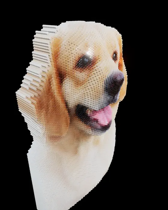 Puppy in hexagonal 3D