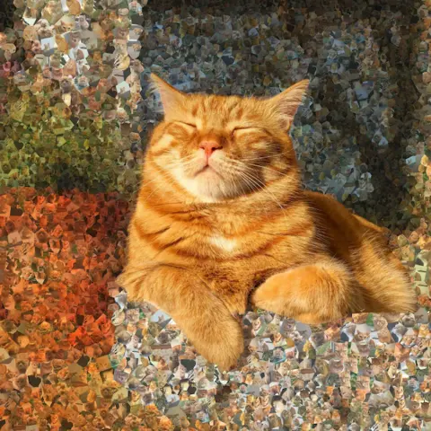 A cat portrait made from hundreds of small photos