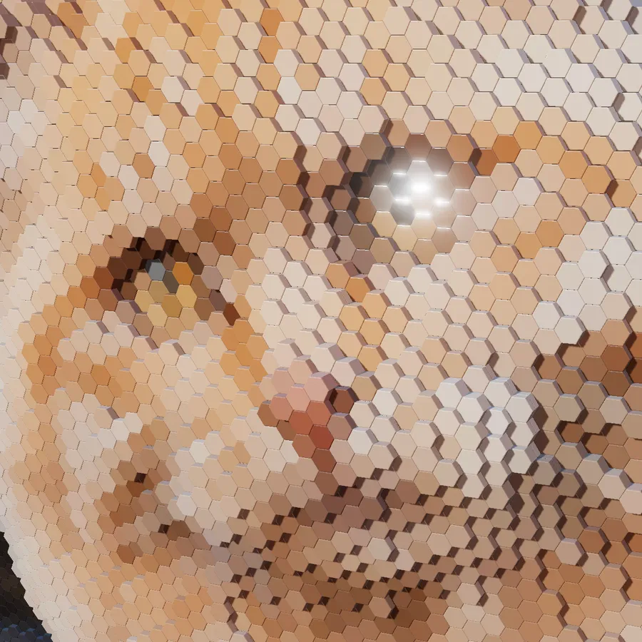 A face turned into a 3D printable relief of hexagonal columns