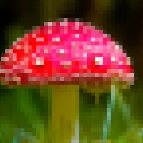 A red mushroom photo turned into pixel art