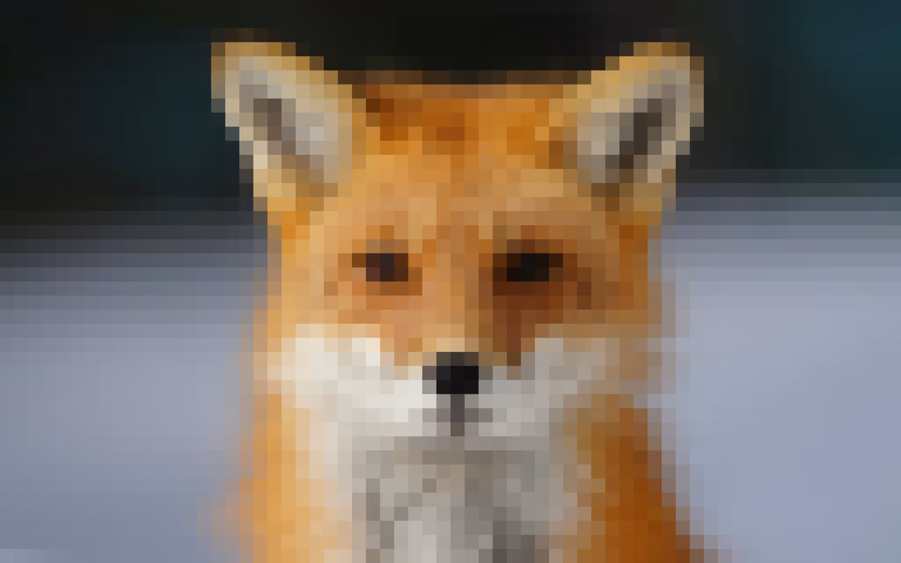 The fox photo as a mosaic of color