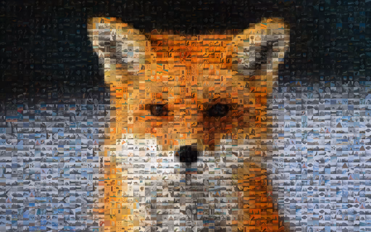 The fox photo as a mosaic of photos